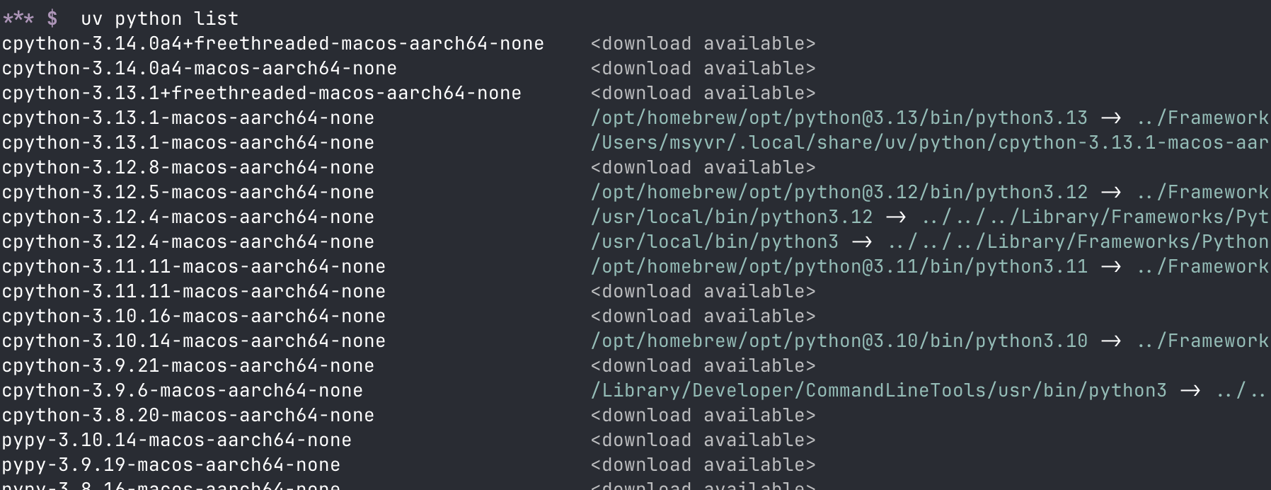/images/uv-list-python-versions-available.png